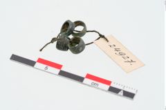 Foto von Bronzeringperle (NHMW-PRAE-024927)